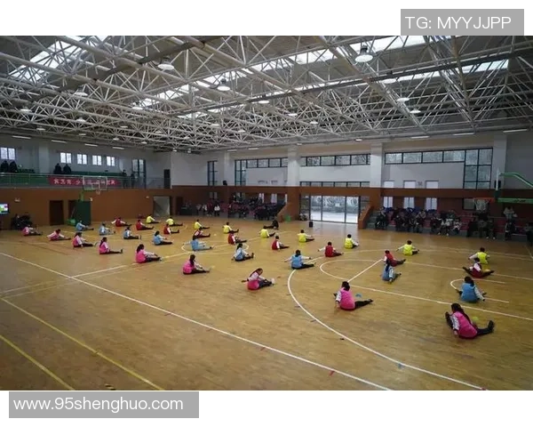 南京排球队个人能力分析与提升策略探讨